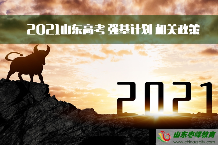 2021山東高考強基計劃先關(guān)政策